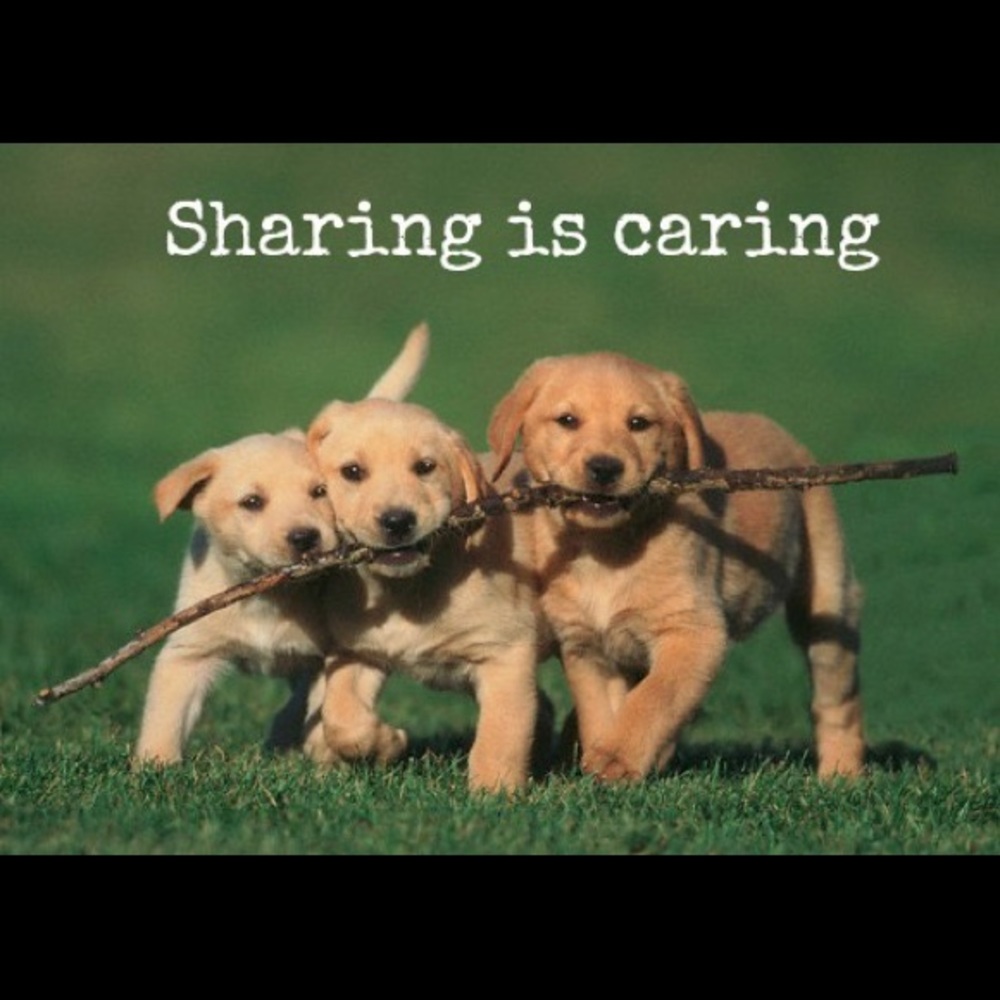 Sharing Game!